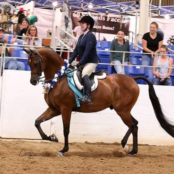 Meet your Posher, Shawn - Picture 1 of 1